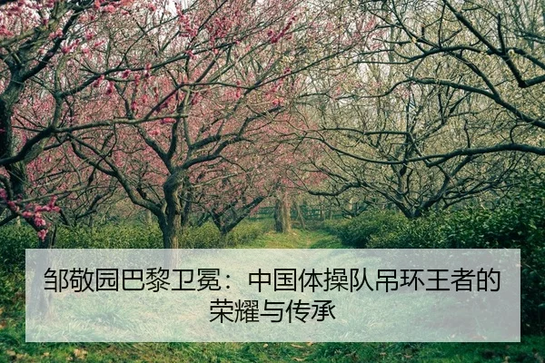 zou-jing-yuan-ba-li-wei-mian-zhong-guo-ti-cao-dui-diao-huan-wang-zhe-de-rong-yao-yu-chuan-cheng-2-278.jpg