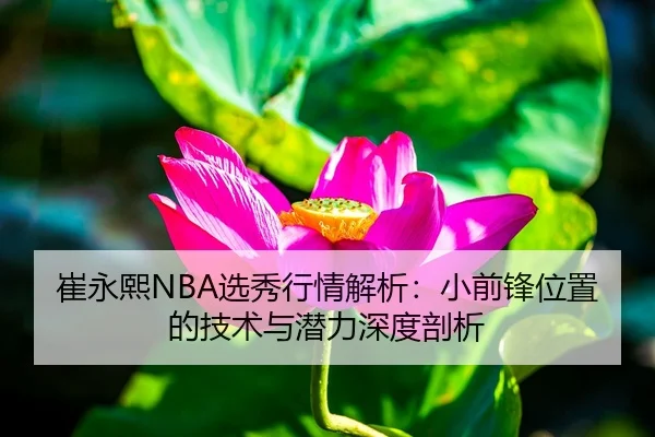 崔永熙NBA选秀行情解析：小前锋位置的技术与潜力深度剖析