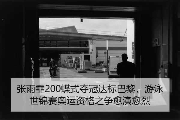 zhang-yu-fei-die-shi-duo-guan-da-biao-ba-li-you-yong-shi-jin-sai-ao-yun-zi-ge-zhi-zheng-yu-yan-yu-lie-2-259.jpg