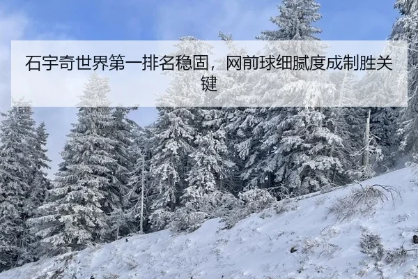 shi-yu-qi-shi-jie-di-yi-pai-ming-wen-gu-wang-qian-qiu-xi-ni-du-cheng-zhi-sheng-guan-jian-2-545.jpg