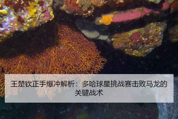 wang-chu-qin-zheng-shou-bao-chong-jie-xi-duo-ha-qiu-xing-tiao-zhan-sai-ji-bai-ma-long-de-guan-jian-zhan-shu-3-546.jpg