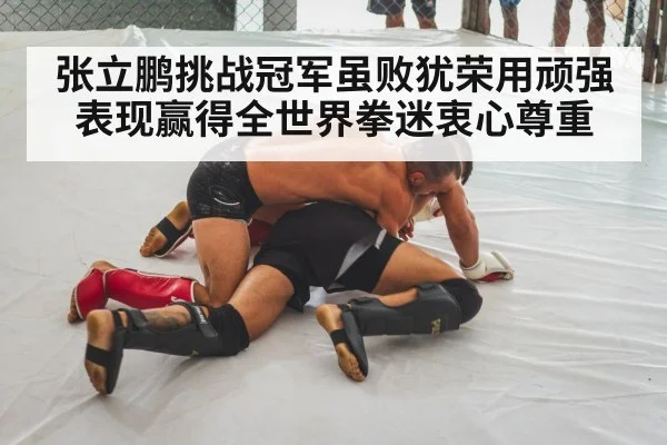 张立鹏挑战冠军虽败犹荣用顽强表现赢得全世界拳迷衷心尊重