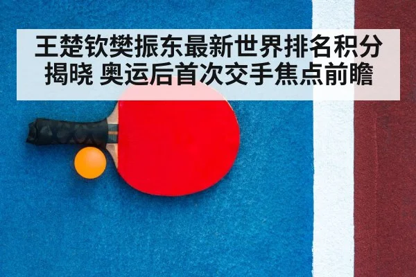 table tennis racket