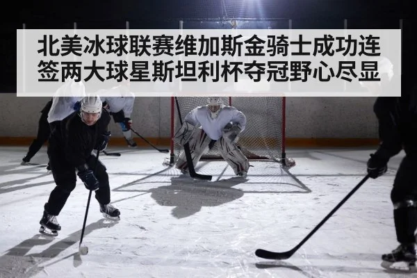 北美冰球联赛维加斯金骑士成功连签两大球星斯坦利杯夺冠野心尽显